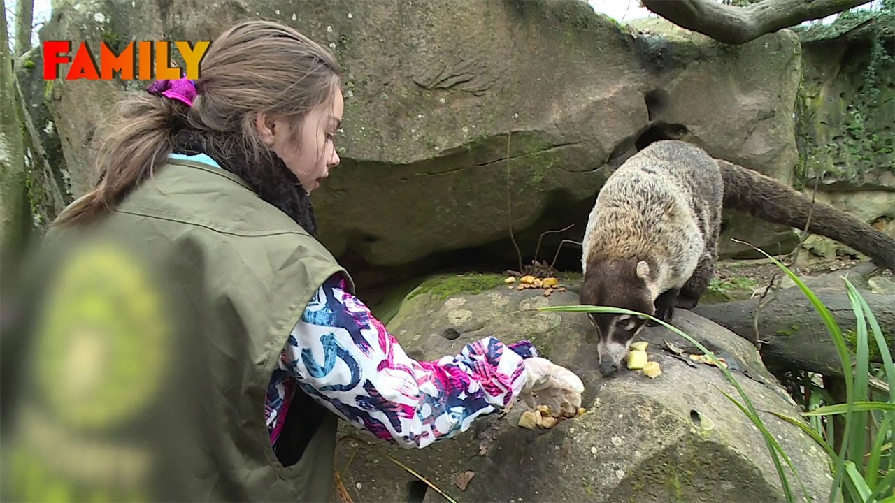 Naissances rares et rencontres uniques au zoo de Thoiry