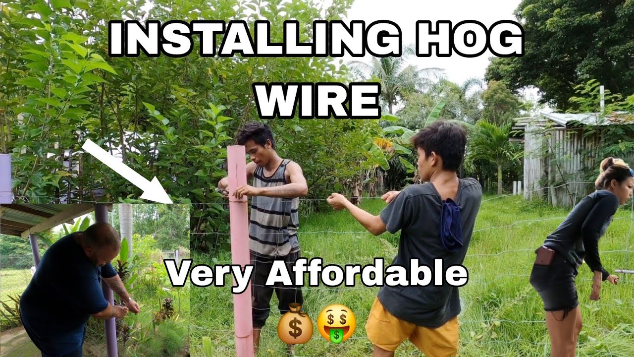 Strong & Affordable! Hog wire Fence Installation Start to Finish #HogWire #philippinesvlog #diy 