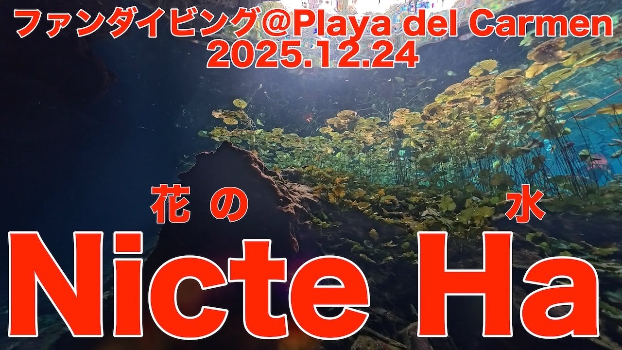 ファンダイビング＠Playa del Carmen（Mexico：Quintana Roo）　ダイブNo.342、343、344　4K