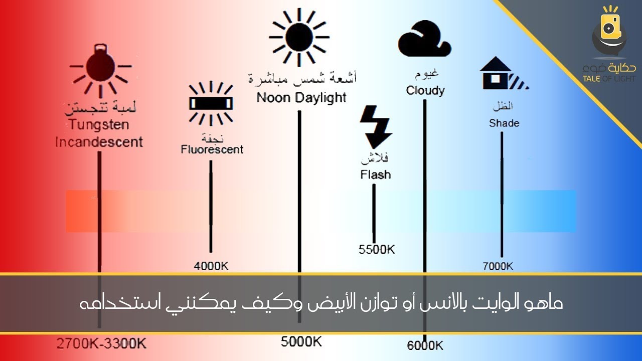 ضبط الوايت بالانس ونمط وجودة الصورة | المحاضرة الرابعة