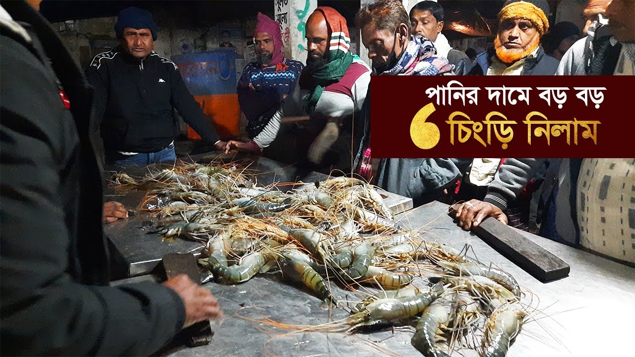 Cheapest Shrimp Fish Market in Bangladesh | Shrimp Fish Factory Episode  10