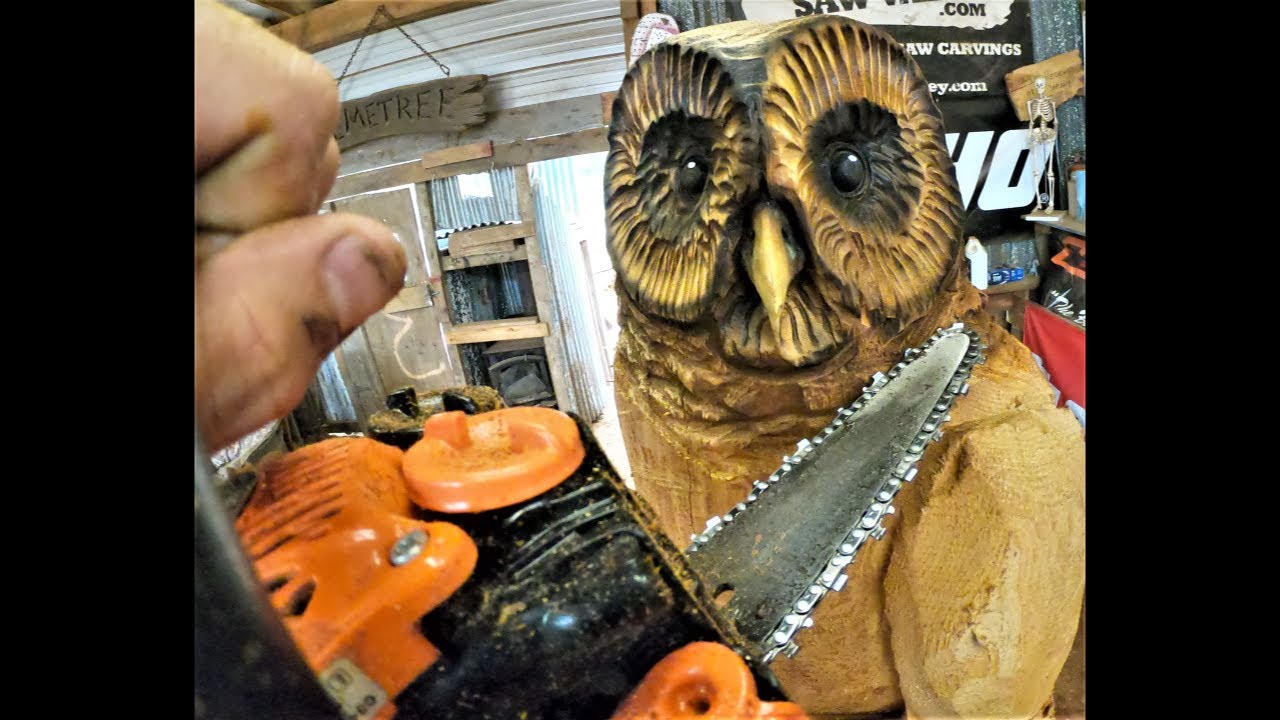 Carve Owl Faces BETTER - Tips For Beginners to advanced - 3 min tool talk - real time