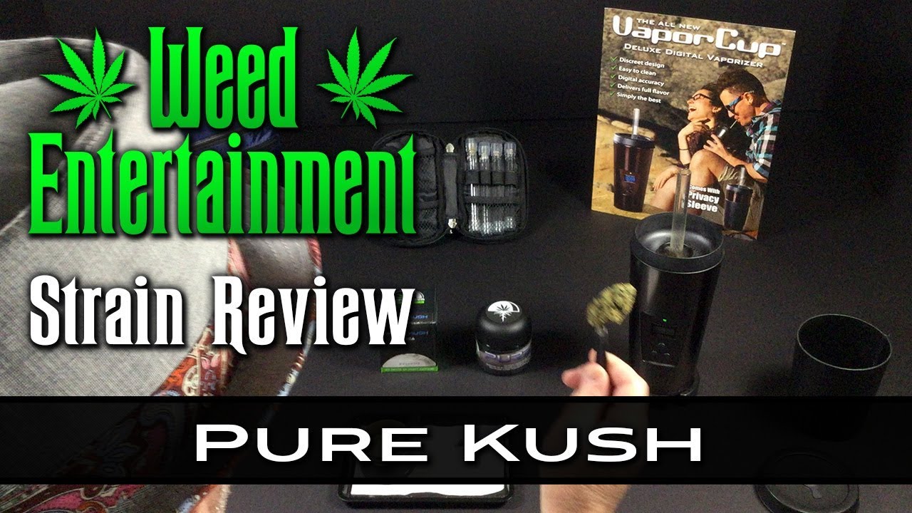 Pure Kush - Indica - by Terraform Genetics - Strain Review - from WHTC, Studio City, Ca