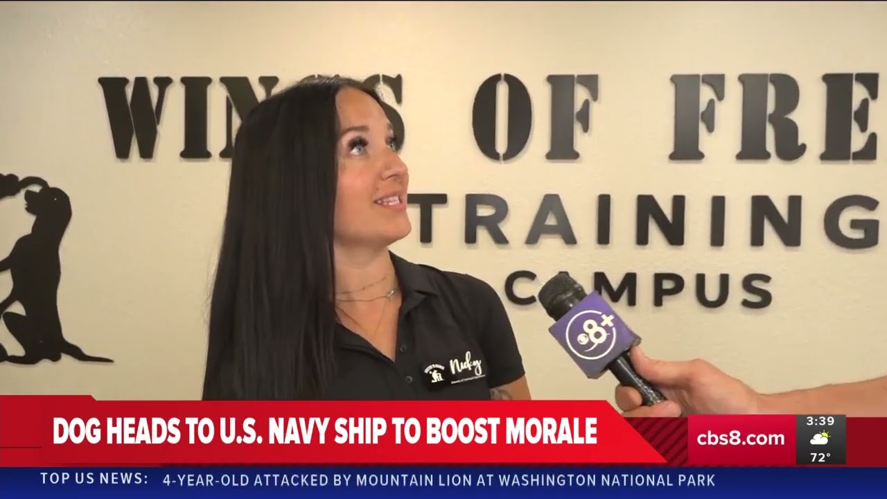 CBS 8 live at Shelter to Soldier with Raider the Morale Dog set to live aboard the USS Makin Island