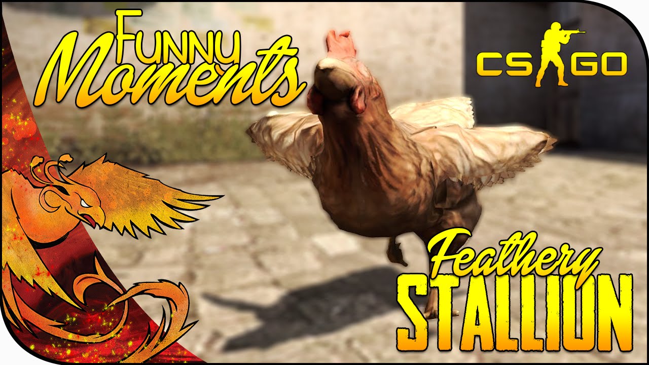 CS:GO Funny Moments │ Feathery Stallion