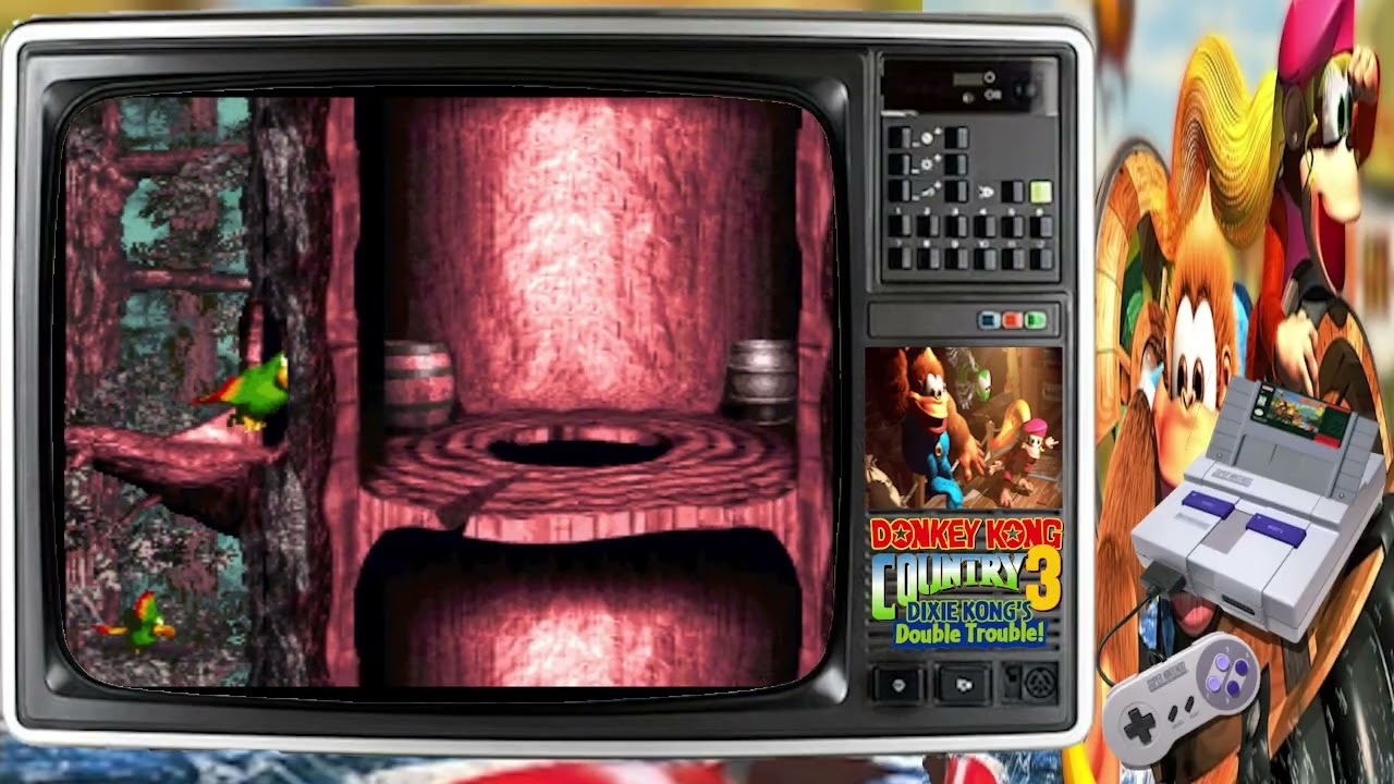Donkey Kong Country 3 [#02]