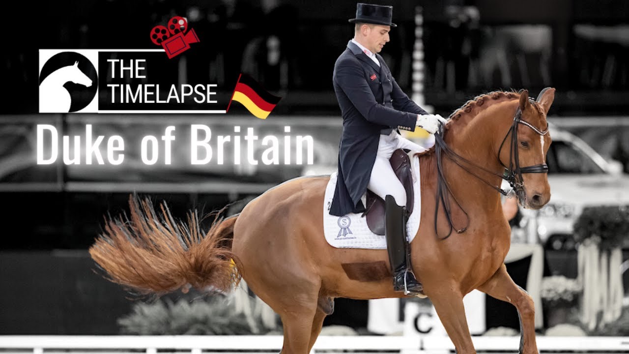 Frederic Wandres' Duke of Britain 🤩 | Sein Werdegang zusammengefasst | The Timelapse 🎥