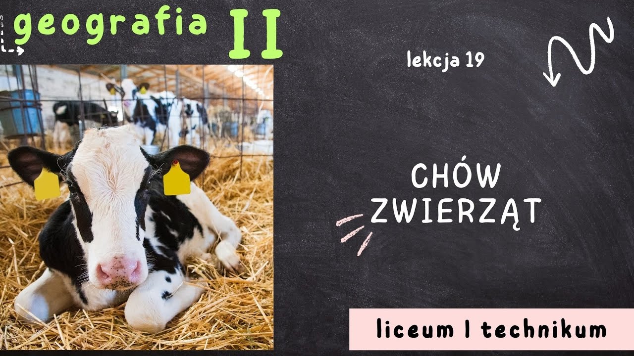 Geografia 2 LO [Lekcja 19: Chów zwierząt]