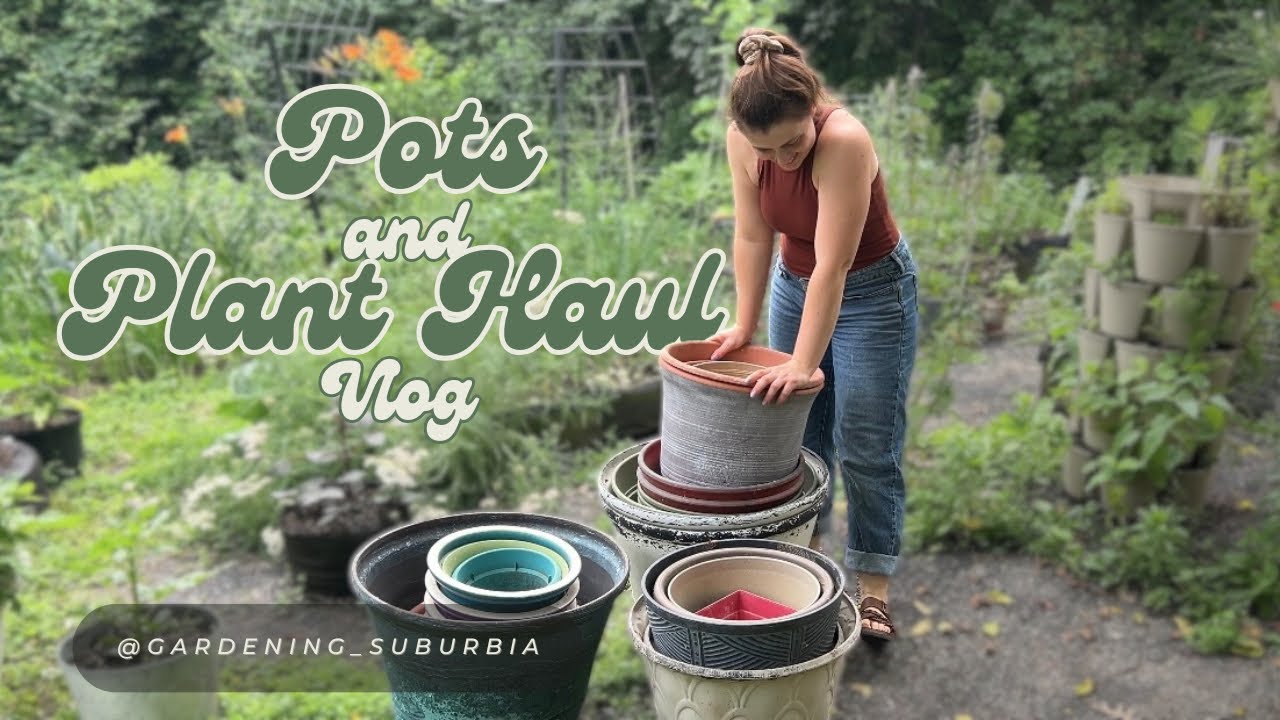 An abundance of pots requires a plant haul!