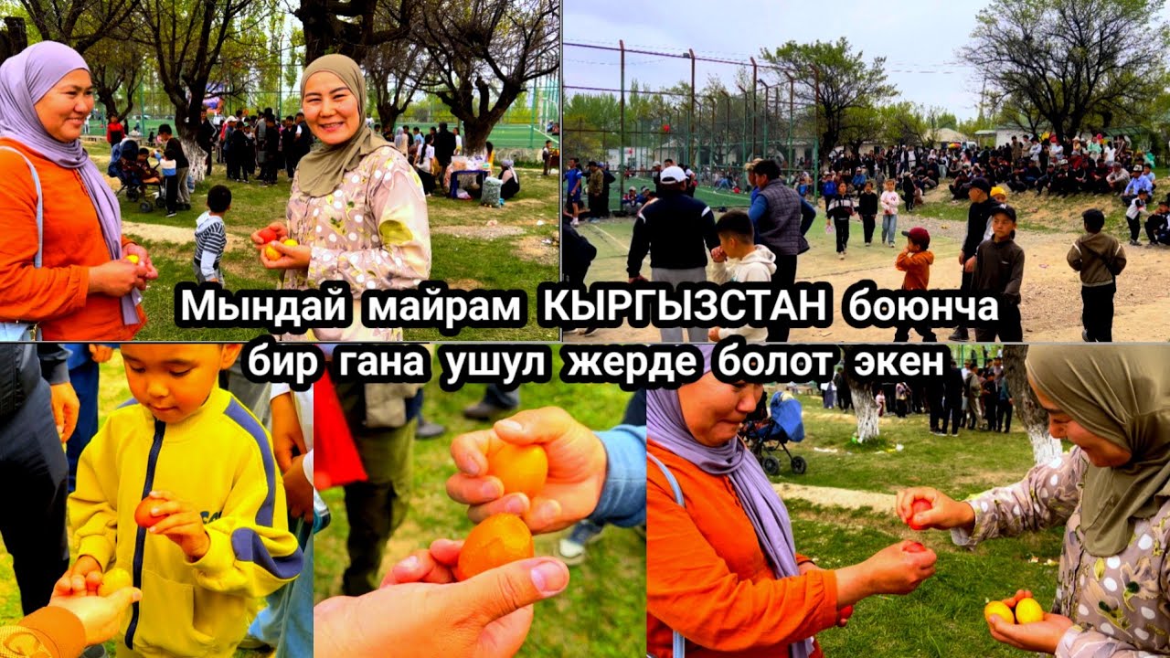 1-май майрамга тукум уруштуруш чон майрам 100жылданбери уланып келүүдө. Тамаша айылы. #майрам