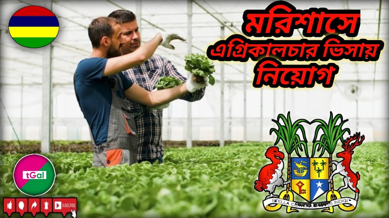 মরিশাসের ওয়ার্ক পার্মিট ভিসা। থাকা খাওয়া কোম্পানি বহন করবে। এগ্রিকালচার ওয়ার্ক পার্মিট ভিসা।