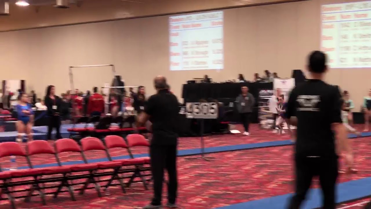 Mia Heather Vault Level 10 Regionals 2019