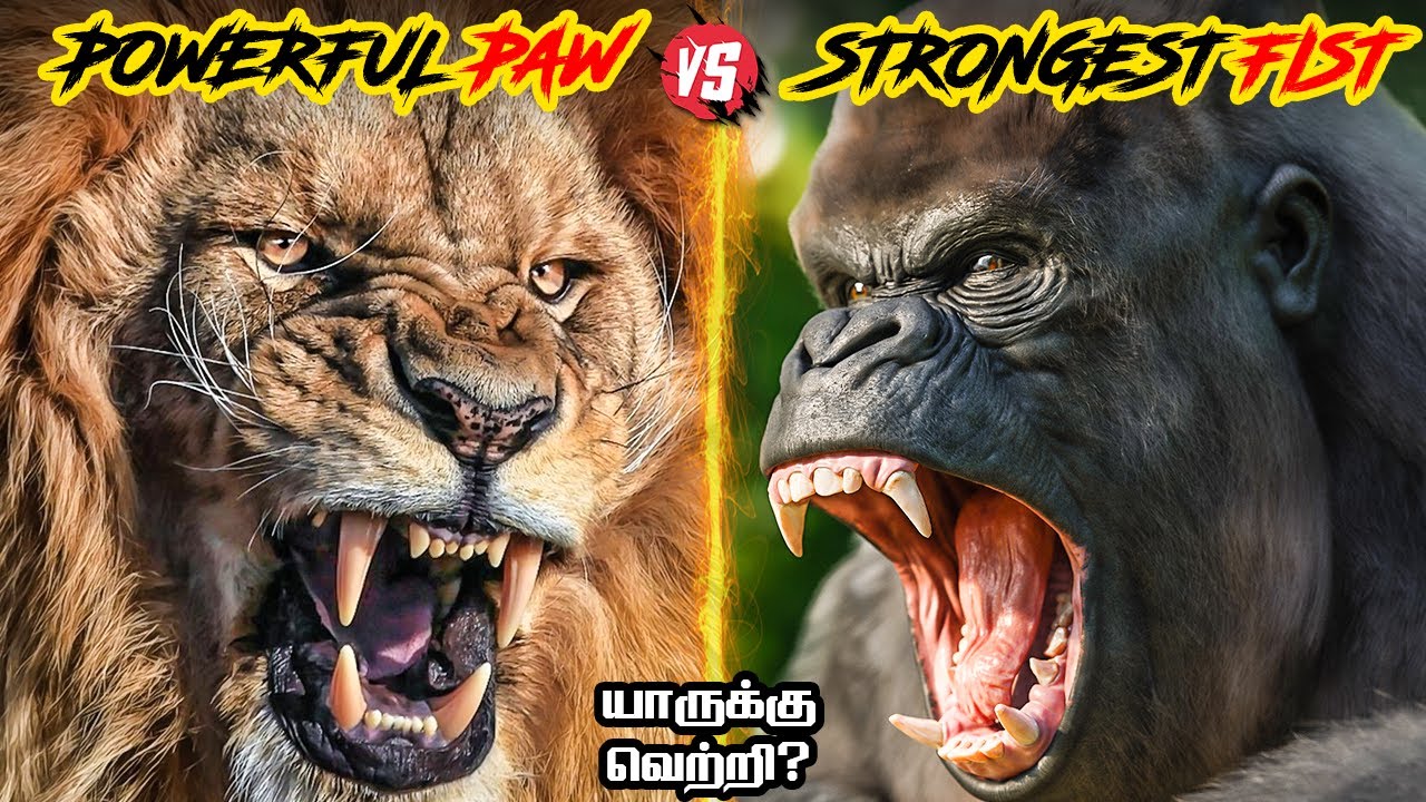 Lion vs Gorilla in Tamil | சிங்கம் vs கொரில்லா | Fantasy Battle | Savage Empire