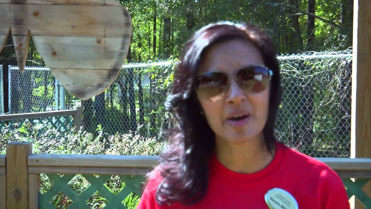 Another Award Winning School in Leon County!