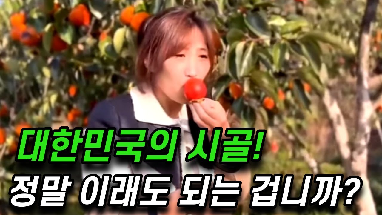 한국남자와 결혼 후 난생처음 떠난 여행에서 울컥했습니다!