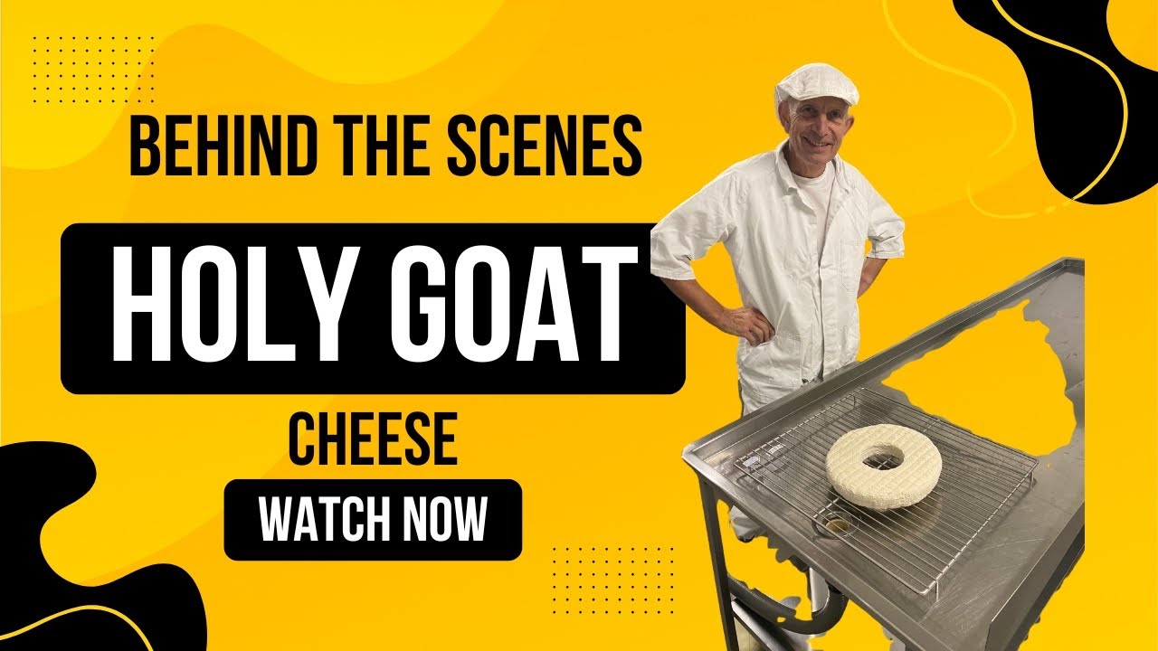 Holy Goat Cheese BTS Footage and Interview - Cheese- Searching for a Taste of Place