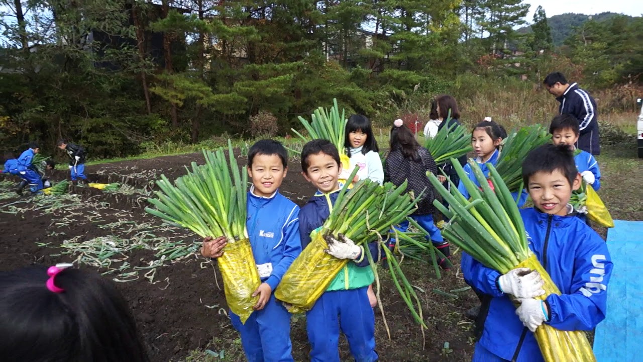 秋田県大館市川口小学校2017.10.19①