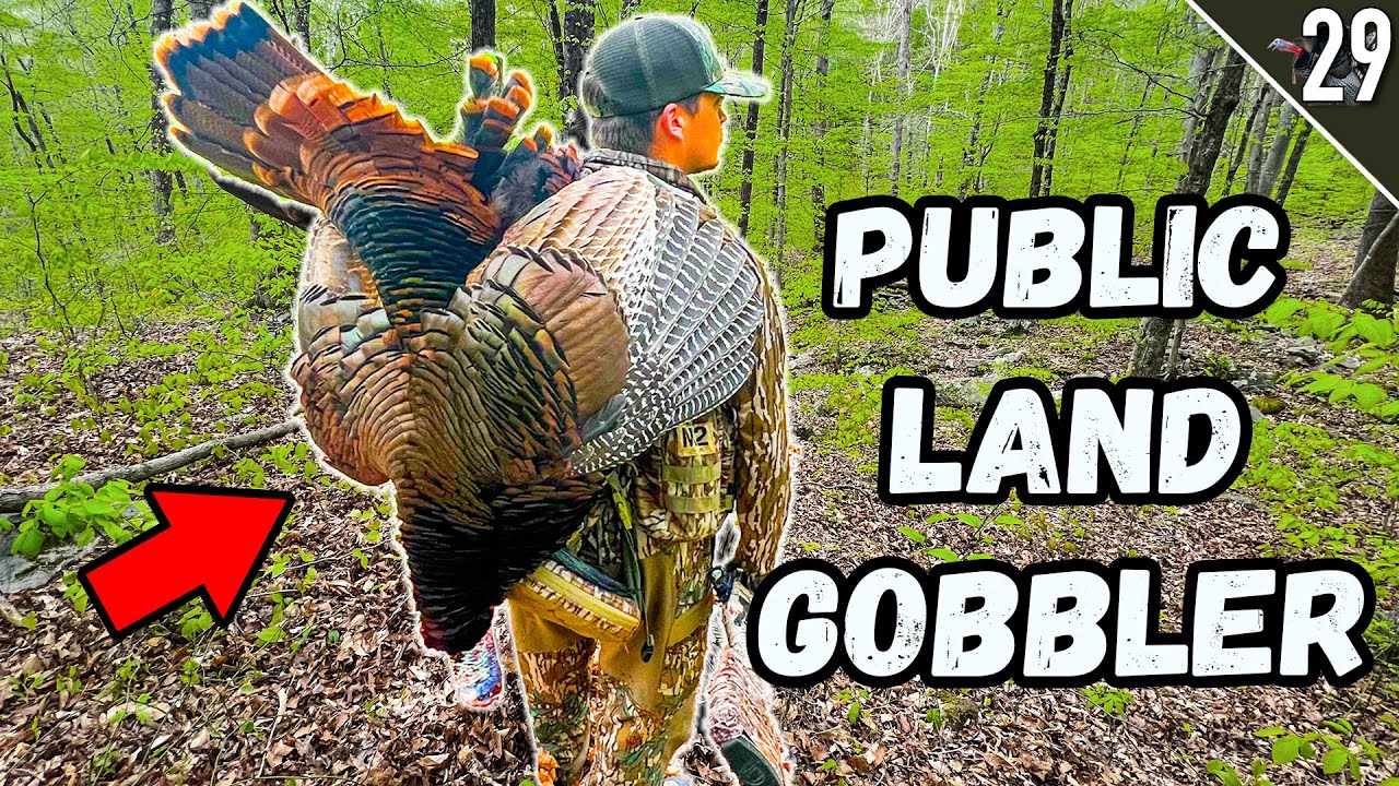 Turkey Tour Day 29 - Hardwoods Turkey Hunting in the Midwest