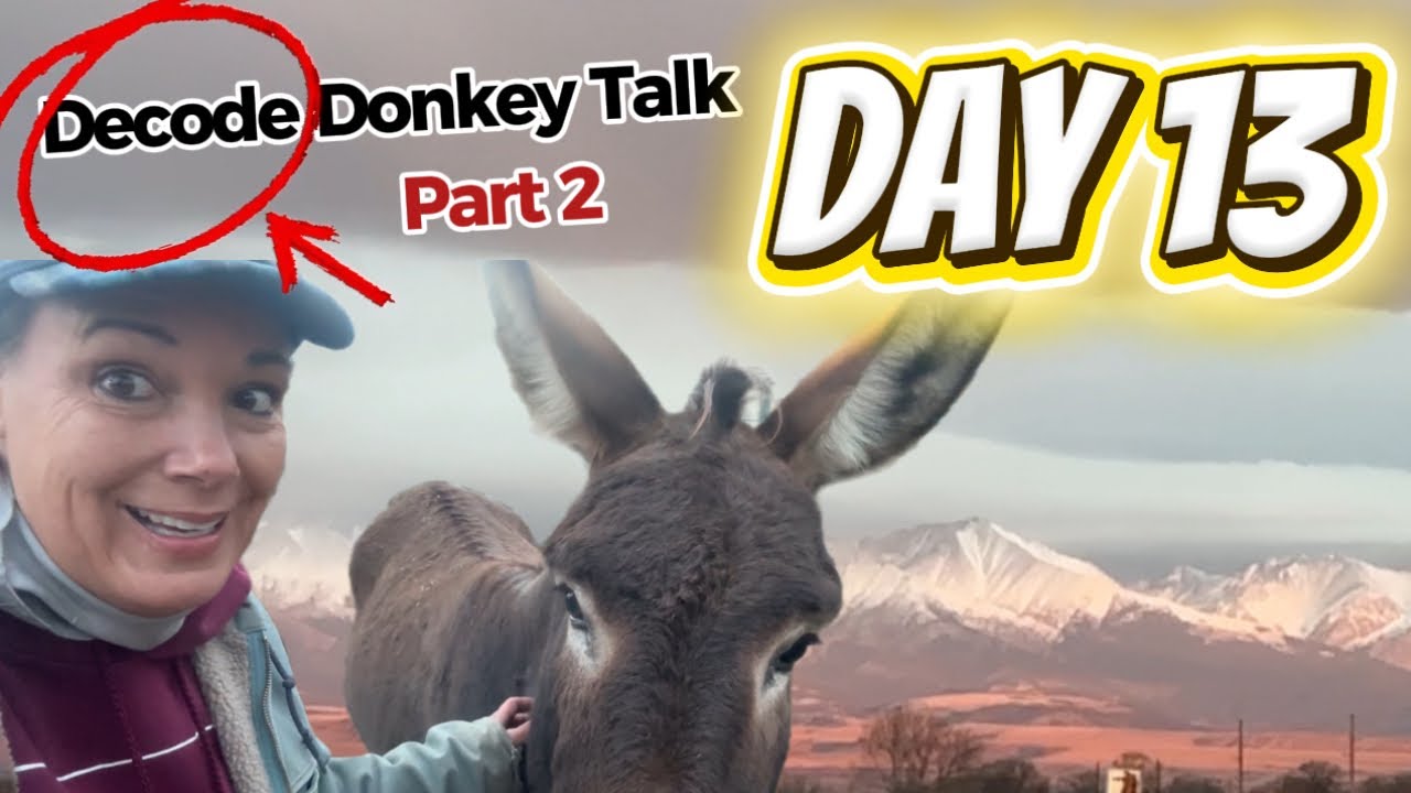 Training Wild Burros with MaryJo Enfield is live!
