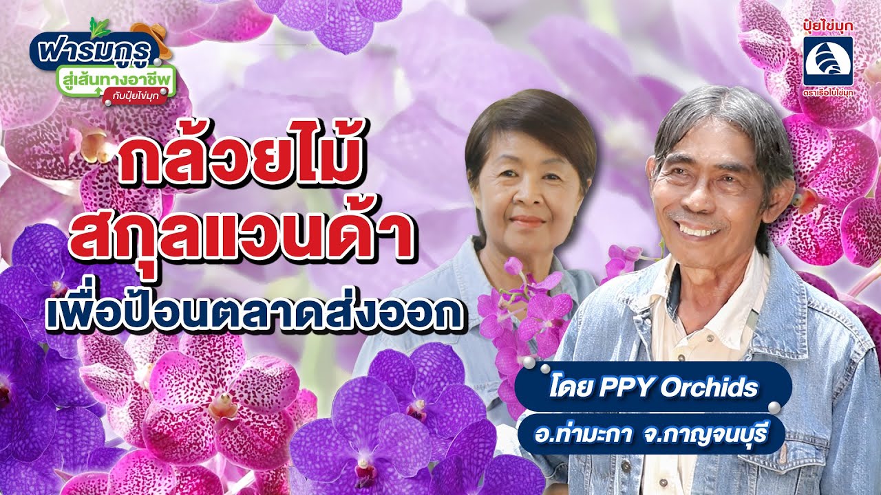 ฟาร์มกูรูสู่เส้นทางอาชีพกับปุ๋ยไข่มุก ตอน กล้วยไม้แวนด้าตัดดอก