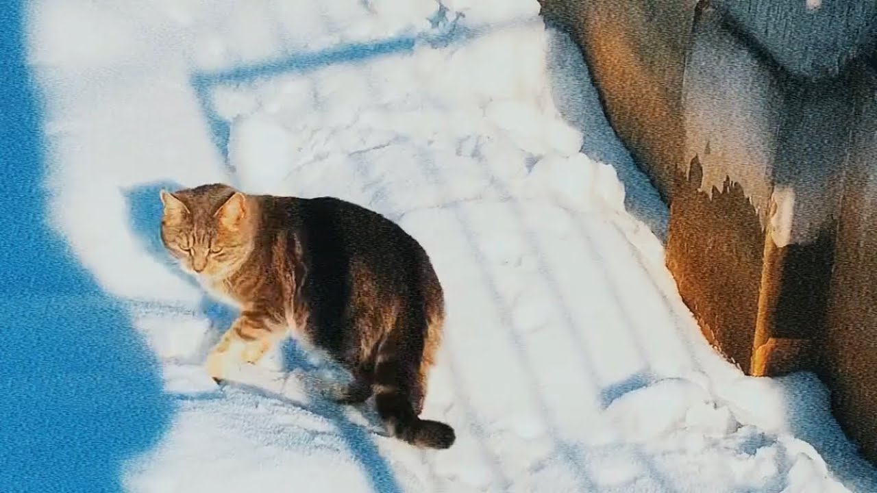 me, you and a snowfall