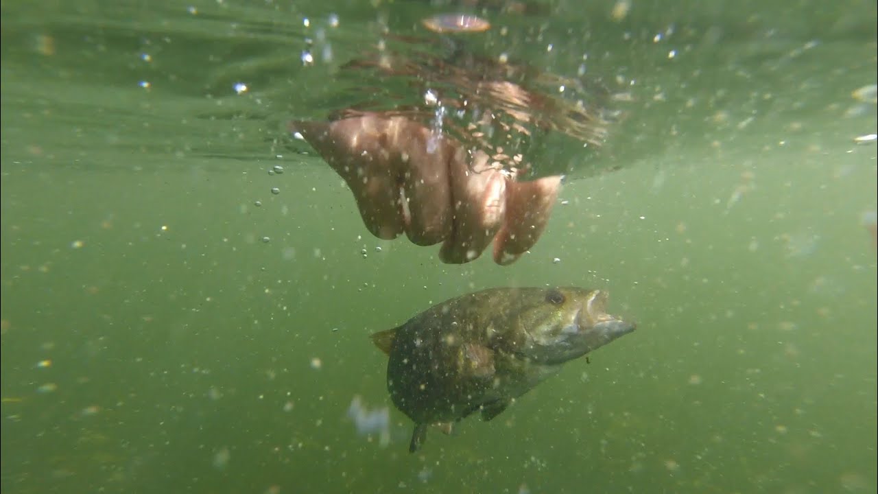 ULTRA CLEAR Water Fishing for BIG BASS!--Green Lake Fishing