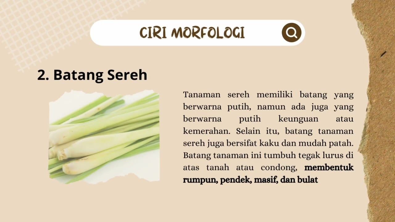 Vidio 3 tahun yang lalu, tugas bahasa Indonesia hasil pengamatan observasi 