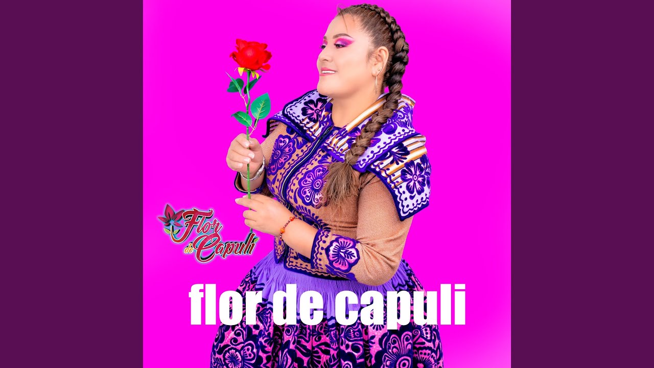 Hay vida vidascha