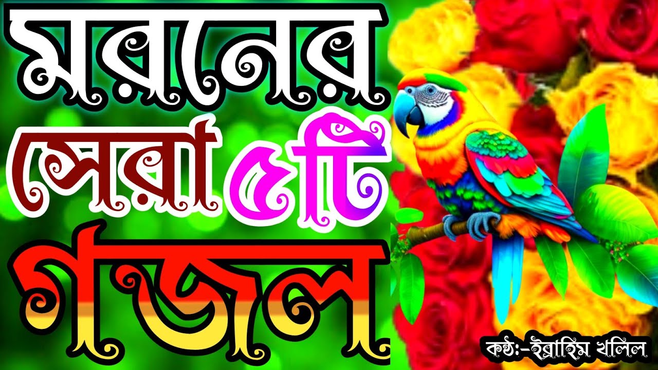 একটু মন দিয়ে গজল গুলো শুনেন | gojol | খুব দুঃখের সেরা ৫টি গজল | bangla gojol | new islamic song |গজল