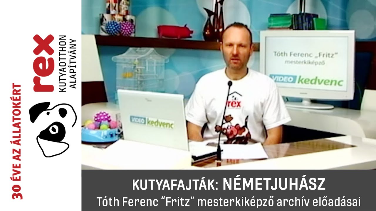 Kutyafajták: németjuhász