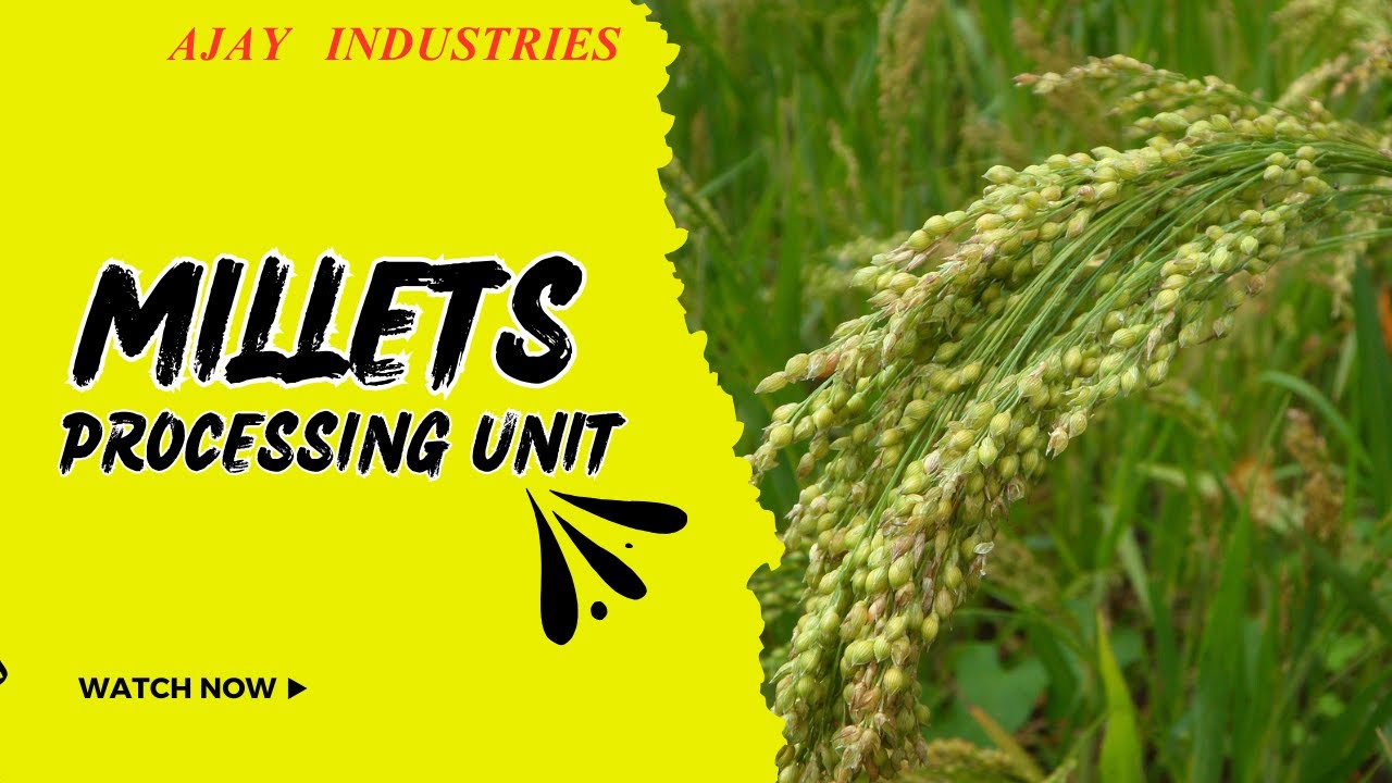 India's No.1 Millets Processing Unit | 09423123023 | Millets Processing Machinery