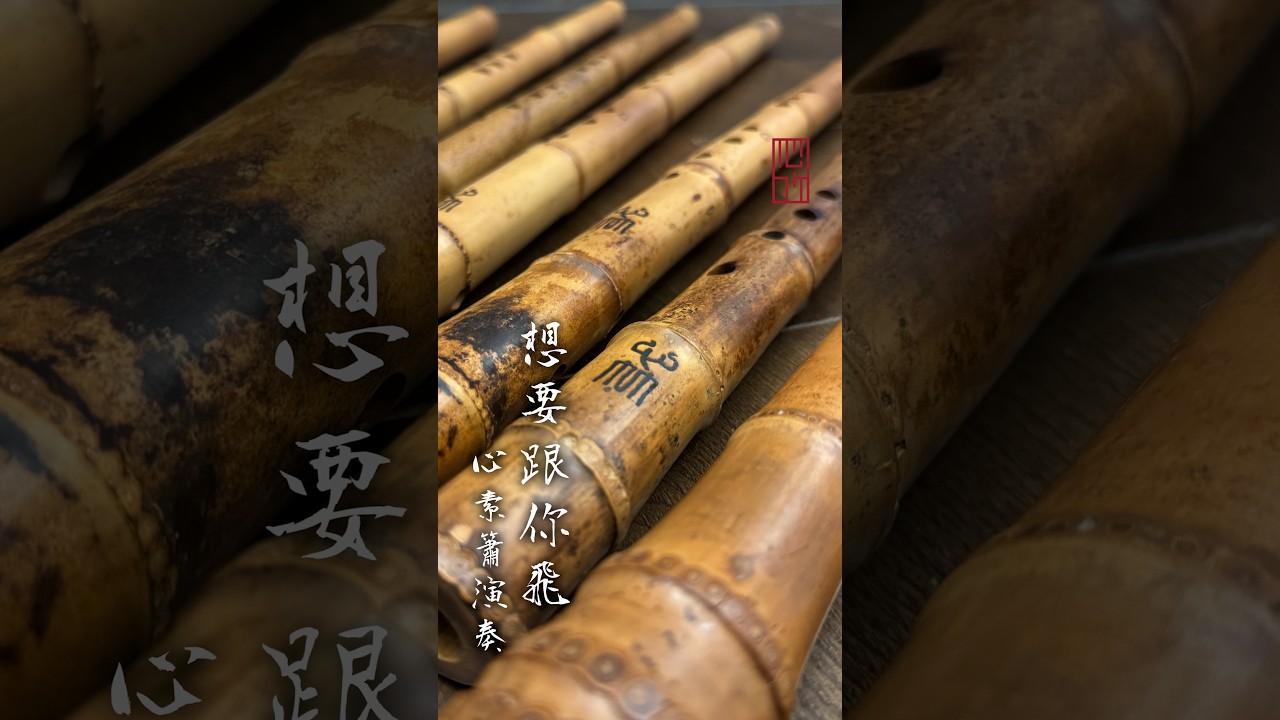想要跟你飛 | 心素簫演奏