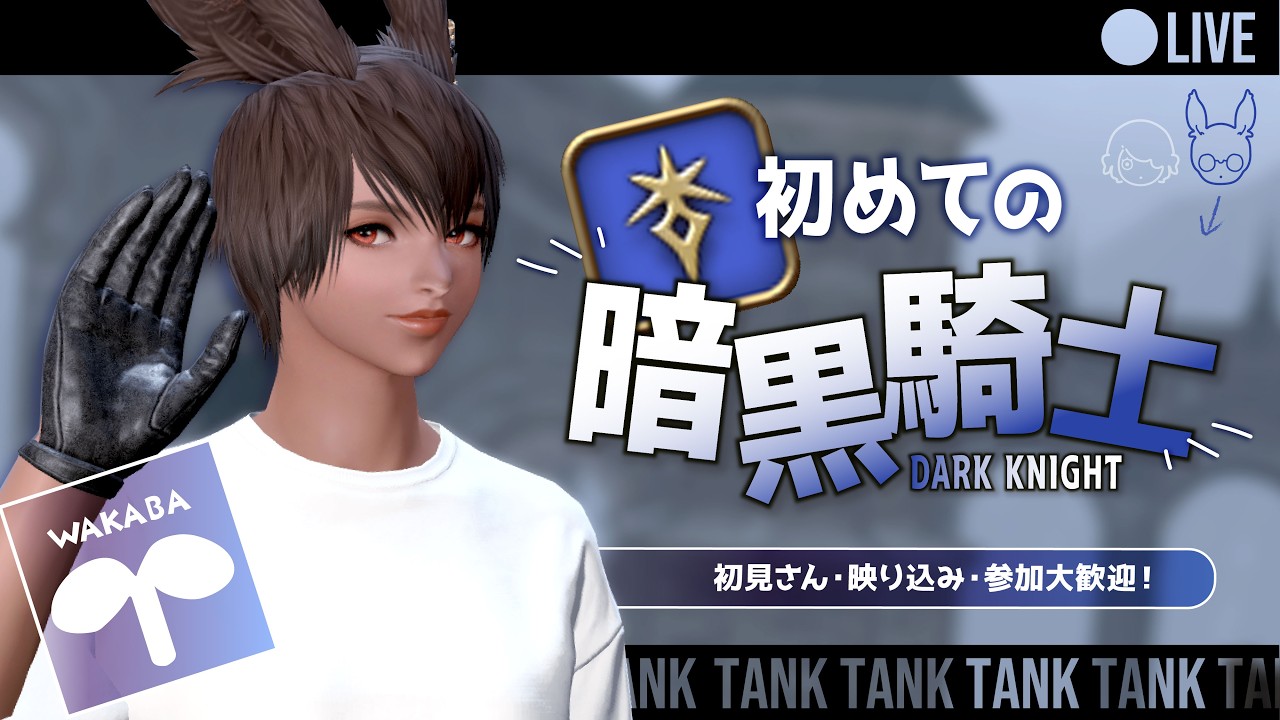 【FF14｜初見】LV30-50｜#2｜暗黒騎士をもっと楽しむ！！漆黒に向けてレベ上げだああああ！！！【リスナーさんとIDなどで遊ぶ】