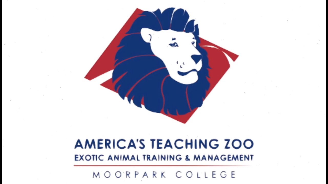 What is the EATM program?