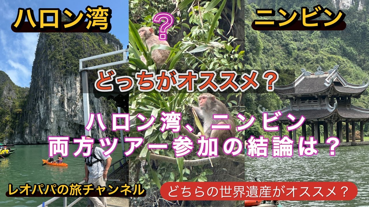 ニンビン日帰りツアー