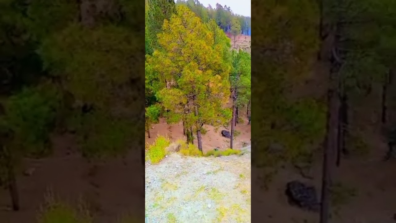 beautiful place /Hazara Vlogs