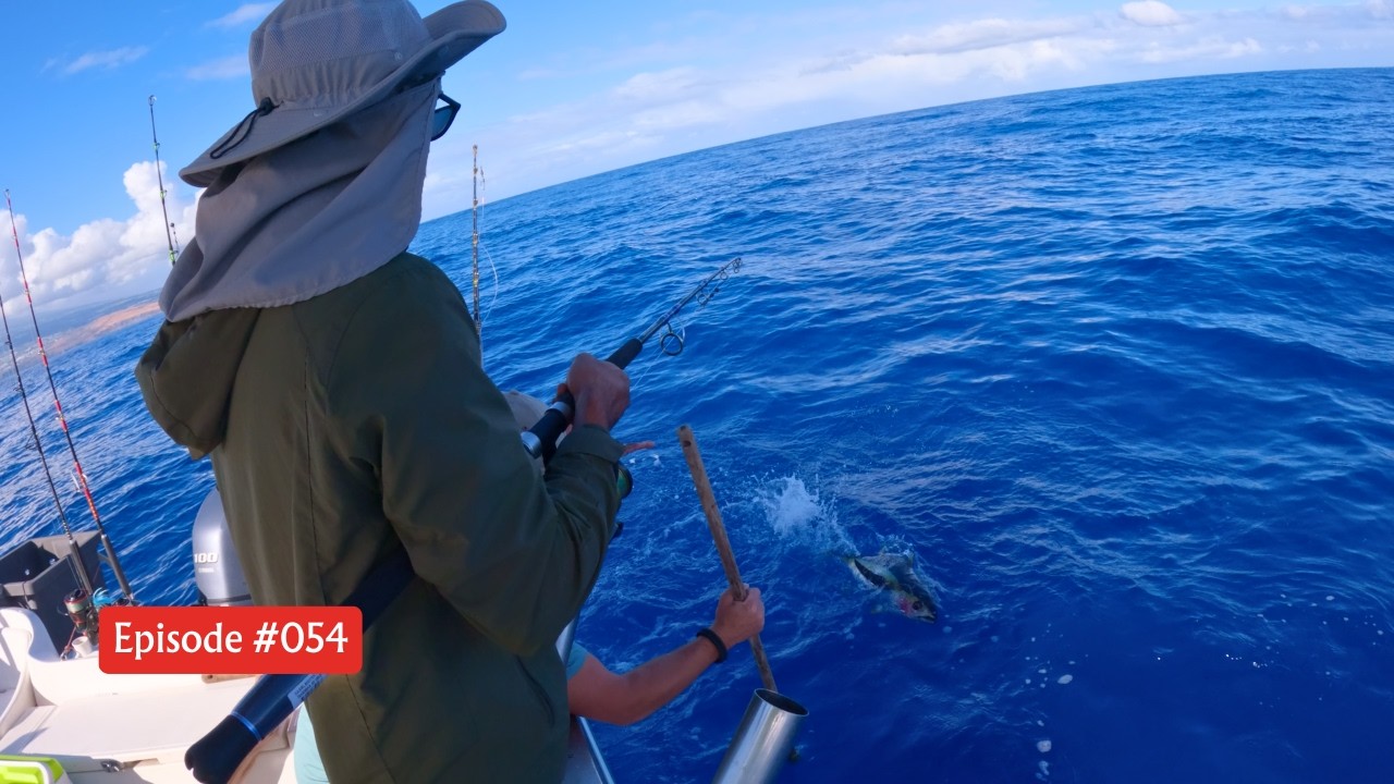 Du Soleil, des Thons, des Bonites et des Abonnés Heureux ! Pêche à La Réunion !