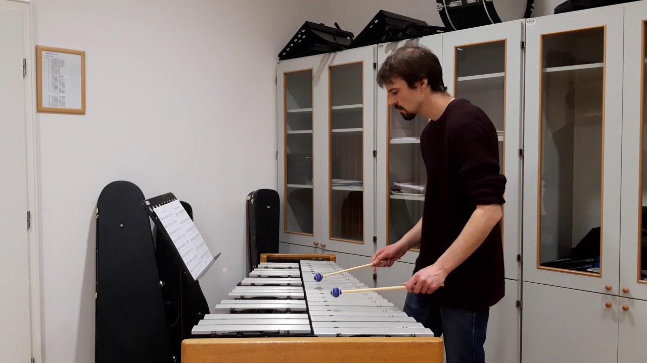 Practicing vibraphone #1 - N.J. Živković - Andante