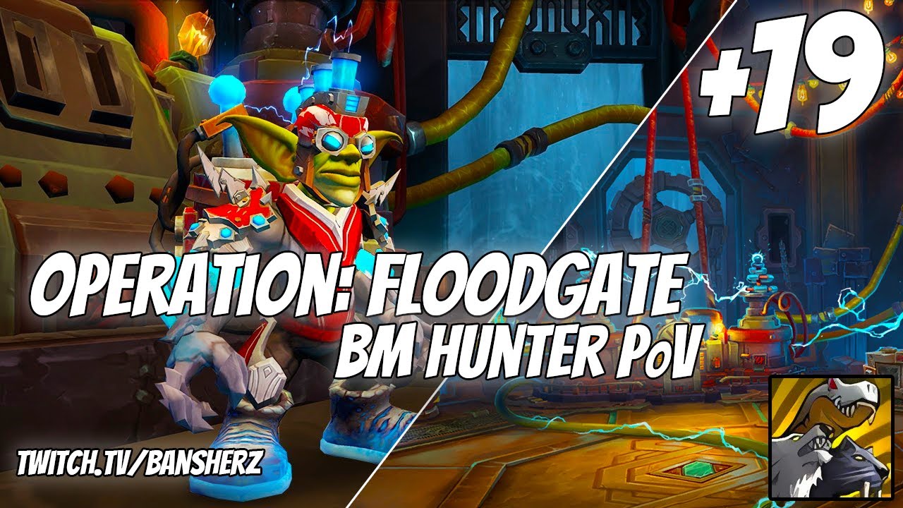 +19 Operation Floodgate BM Hunter PoV
