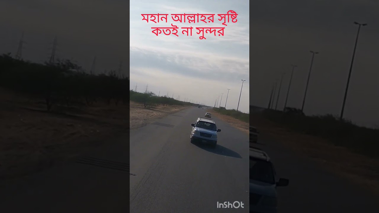 মহান আল্লাহর সৃষ্টি কতই না সুন্দর। #viral #jannat #trending #islam #islamic