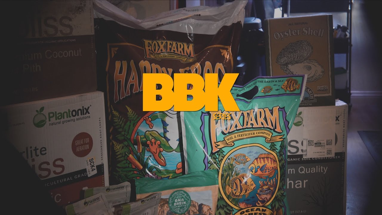 BBK SERIES: EPISODE 3 - TRANSPLANT