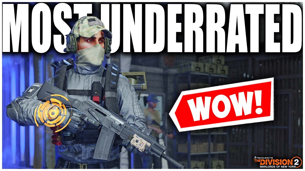 MOST UNDERRATED WEAPON IN THE DIVISION 2! THIS BUILD DESTROYS ARMOR IN SECONDS! THE DAMAGE IS INSANE