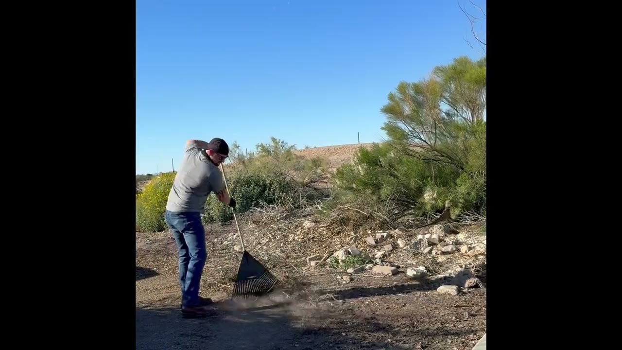 Vacant lot turned into trash dump