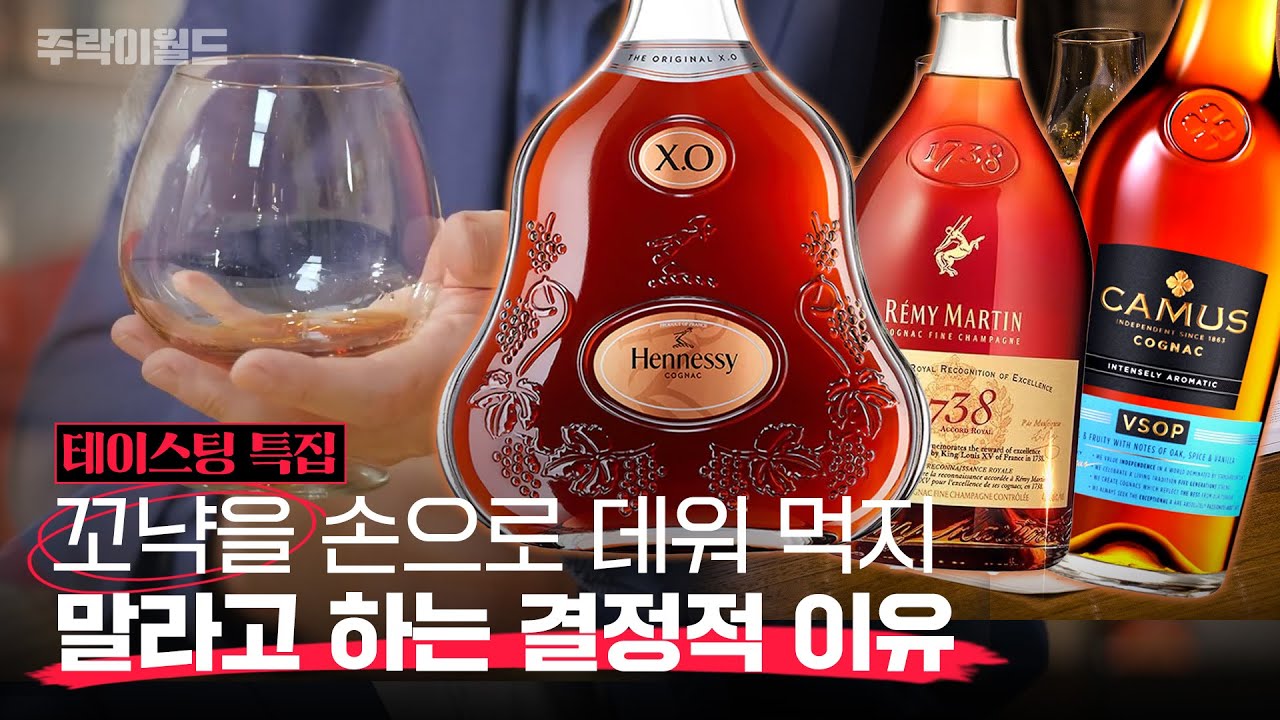 꼬냑을 위스키 잔에 마셔도 될까? 꼬냑 잔 선택, 테이스팅 법, 최적의 페어링 안주까지 총정리 | 주락이월드 / 14F