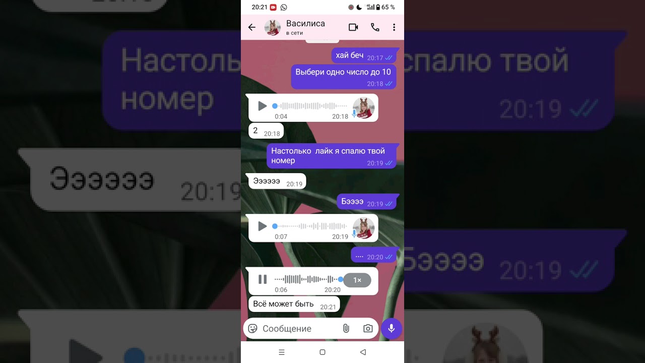 8 января 2026 г.