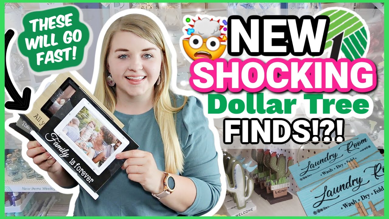 🤯 Mind-Blowing DOLLAR TREE Haul (May 2022) | SHOCKING NEW DOLLAR TREE FINDS?!? | Krafts by Katelyn