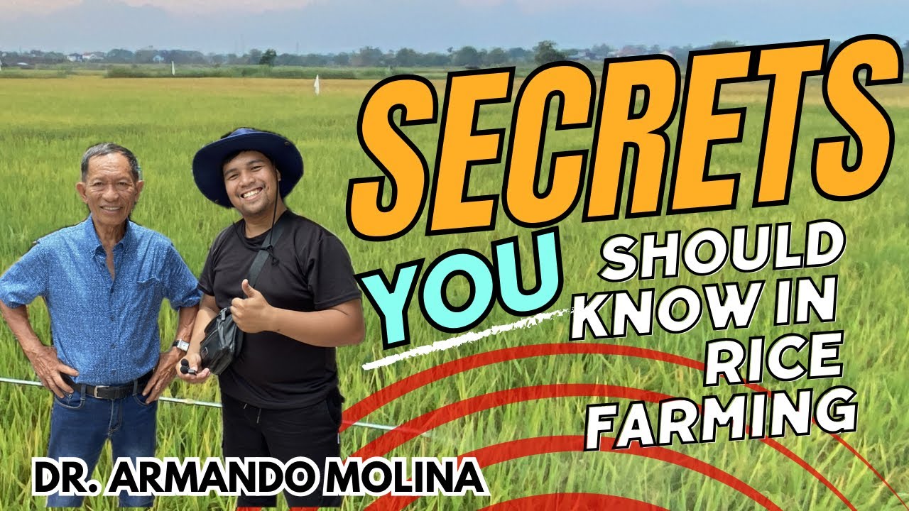 PAANO MAIIWASAN ANG PATULOY NA PAGDAMI NG PAGGAMIT NG ABONO - WITH DR. ARMANDO MOLINA