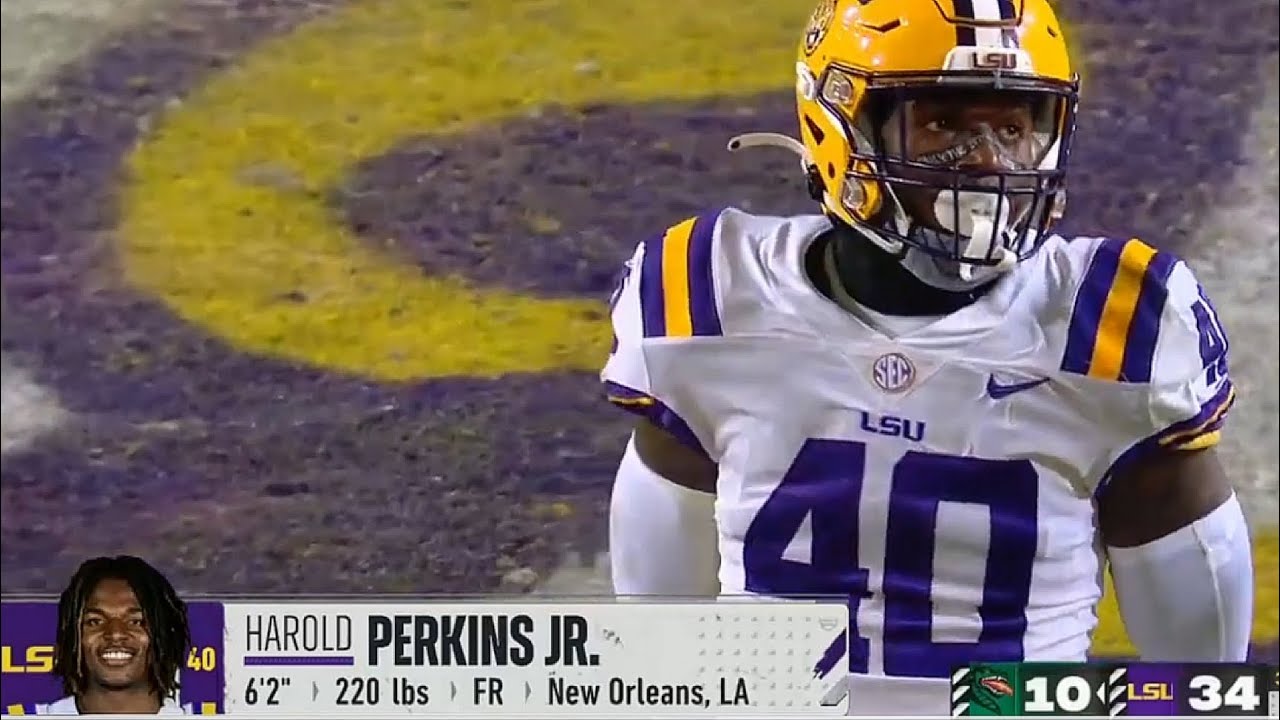 LSU LB Harold Perkins Freshman Highlights