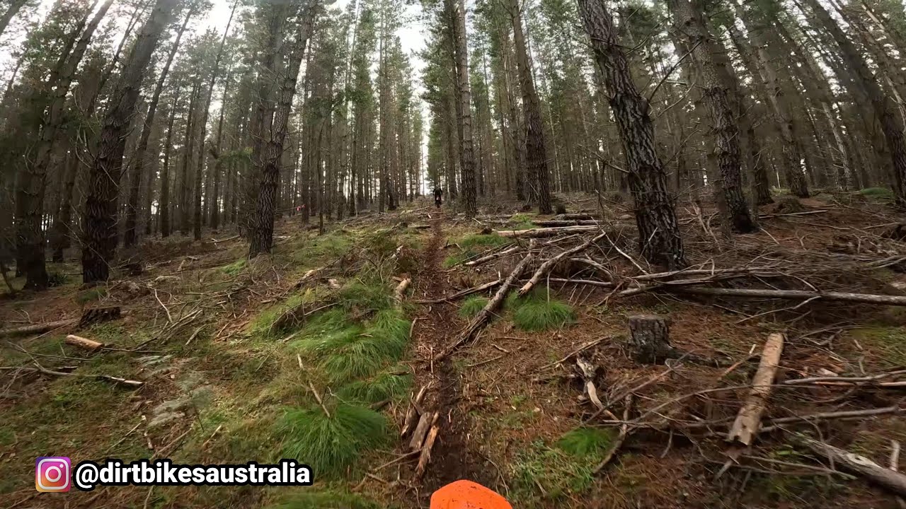 Pine Forest Enduro