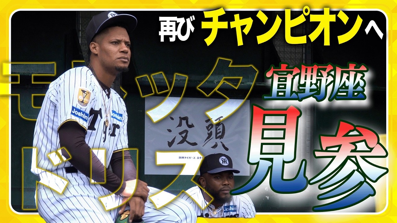 【宜野座に見参】第2クール最終日 #ドリス 選手 #モレッタ 選手 が宜野座に見参！またルーキーの #立石正広 選手 #岡城快生 選手 も宜野座の雰囲気を体感しました！